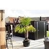 Conteneur bar extérieur amovible 8 x 2 mètres 26ft